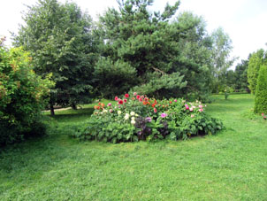 En el Parque, hay lugares dedicadas a plantas.