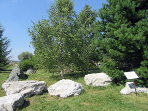 Jardín de Piedras en la segunda Área del Parque de Pájaros.