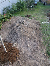 Enterramos el foso con la hierba cortada y restos de plantas, para hacer abono orgánico.