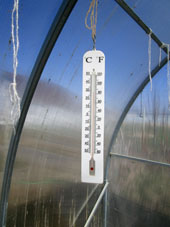 Temperatura del aire en el invernadero norteño (grande) mientras que a fuera a las 11:15 era +16ºC.