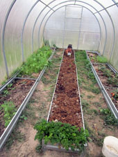 El invernadero sureño sigue usarse para cultivar hinojo, perejil, rabanillo y fresa jardinera.