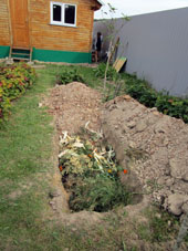 Foso para enterrar hierba cortada y otros residuos orgánicos para que sean adobo para las plantas.
