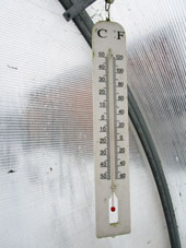 El termómetro aquí muestra temperatura a 1ºC más caliente. En los días sin nubes, cuando la luz solar va directamente, la diferencia es más grande.