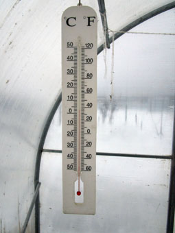 El termómetro aquí mostraba temperatura a 2ºC más que en el aire abierto.