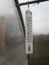 Temperatura en este invernadero, mientras que a fuera era solo +10ºC aquel momento.