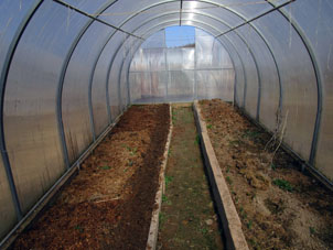Dentro del invernadero norteño, hemos preparado una franja en el bancal para sembrar rabanillo y lechuga (será en la otra franja).