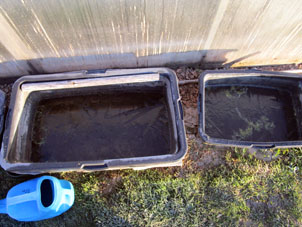 Agua en las otras tinas también estaba cubierta con una corteza de hielo.