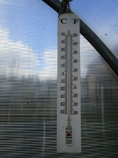 A las 11:25 la temperatura en el invernadero sureño alcanzó +21ºC.