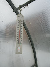 El termómetro dentro del invernadero mostraba +12ºC, mientras que en la calle era +2ºC esa hora.