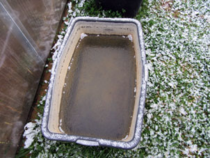 En tina de jardín se formó hielo friable.