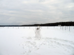 Por nuestra tradición, hice un hombre de nieve (snegovik - monigote) en mi patio.