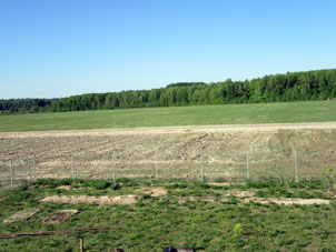 El día 18 de mayo el campo sembrado con avena está verde.
