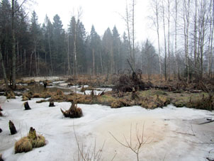 Alto del río Búklovka en el inicio de marzo de 2025.