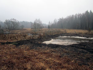 Otra represa más alta por el río Búkhlovka.