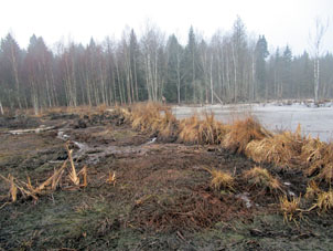 Otra represa más alta por el río Búkhlovka.